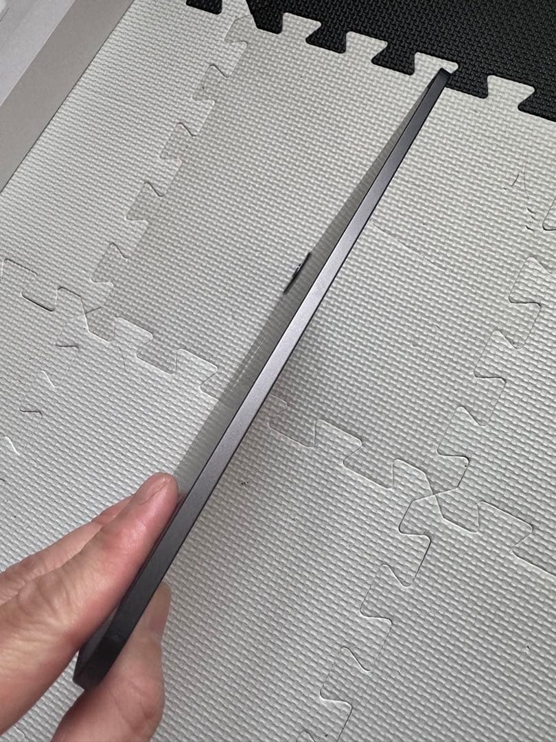 iPad本体 iPad Pro M4 Wi-Fi+Cellular 256GB