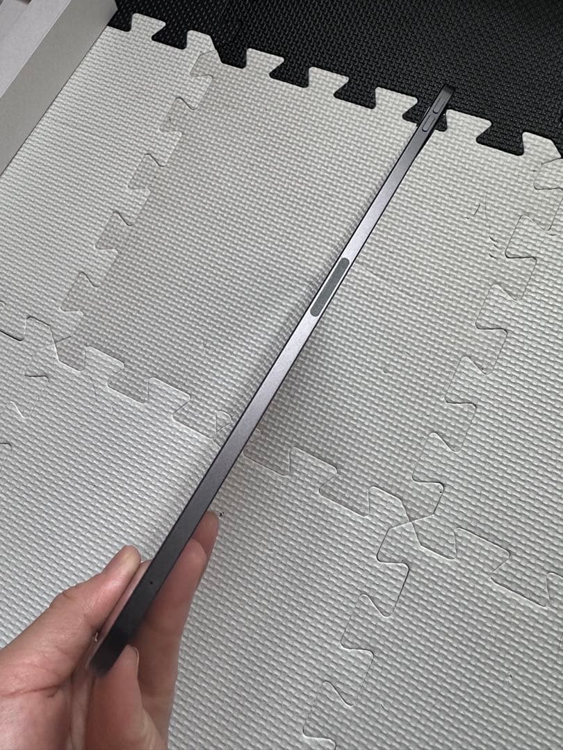 iPad本体 iPad Pro M4 Wi-Fi+Cellular 256GB