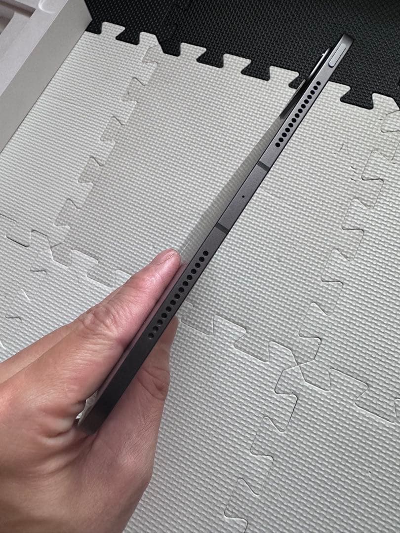 iPad本体 iPad Pro M4 Wi-Fi+Cellular 256GB