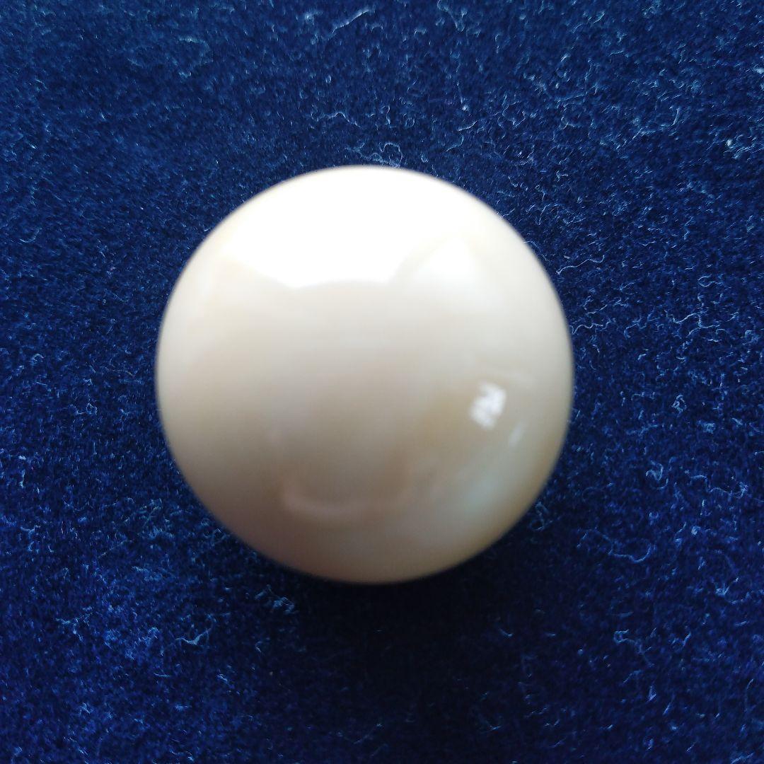 鯨歯　マッコウクジラ　牙玉　特大約23㎜