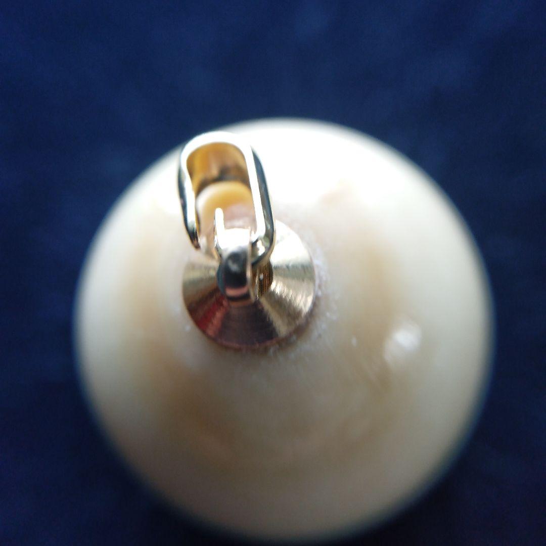 鯨歯　マッコウクジラ　牙玉　特大約23㎜