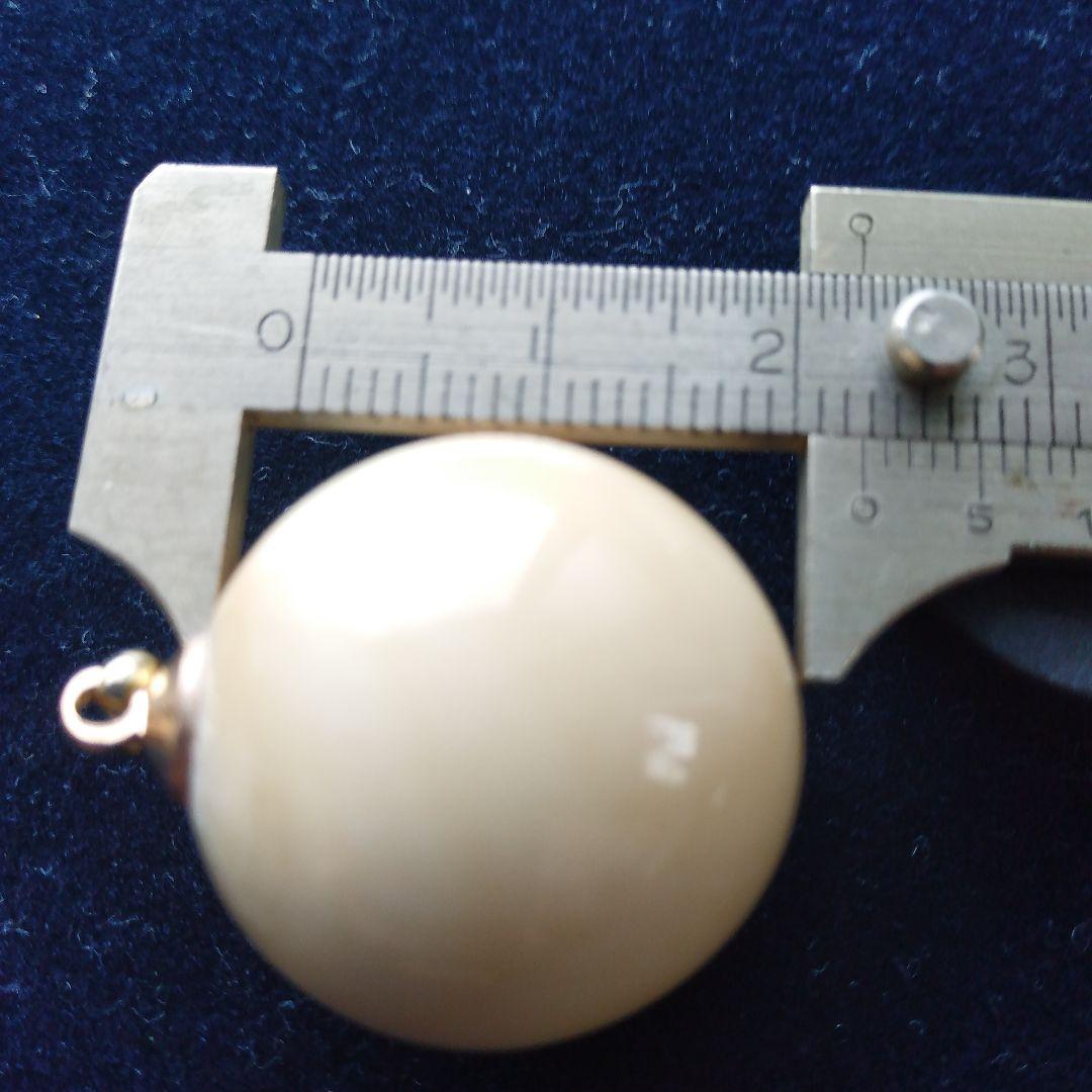 鯨歯　マッコウクジラ　牙玉　特大約23㎜