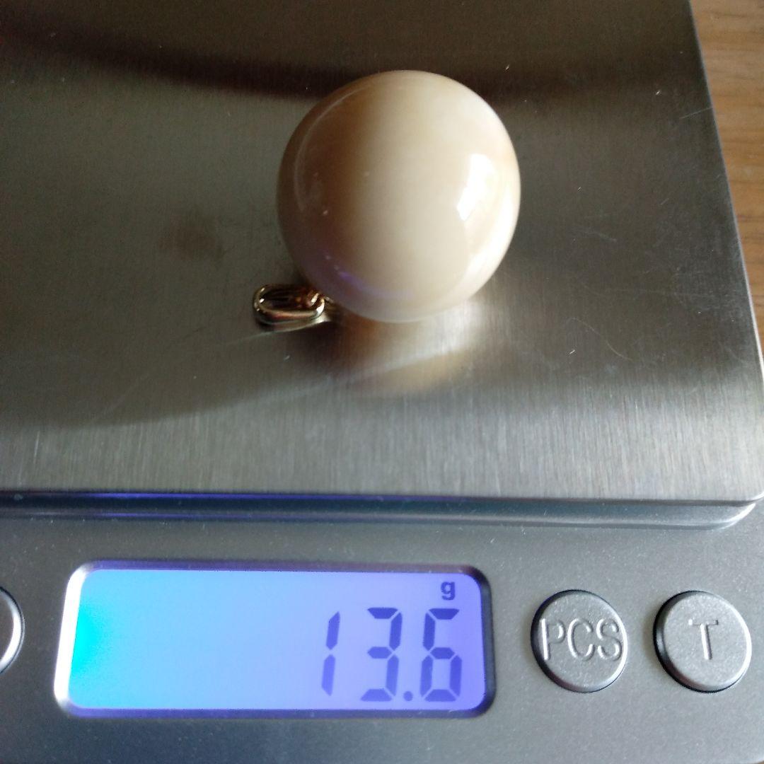 鯨歯　マッコウクジラ　牙玉　特大約23㎜