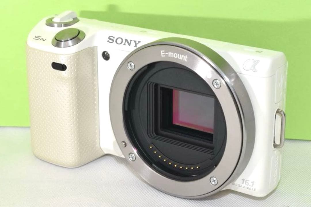 SONY NEX-5N ☆送料無料☆