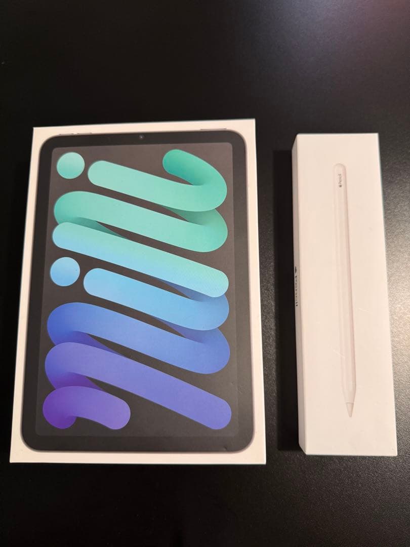 美品 iPadmini6 256G セルラー バッテリー95% + Pencil