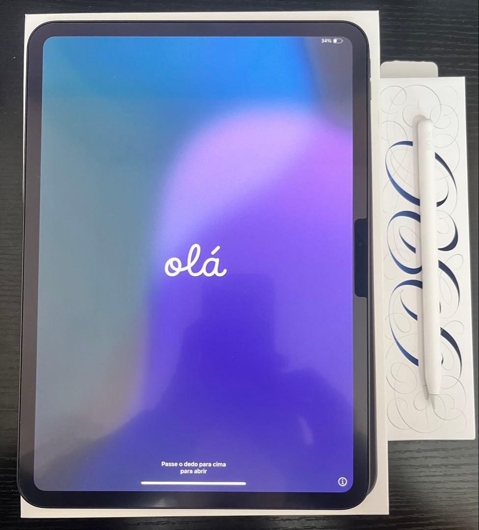 【本体】iPad Pro M4 11インチ+Apple Pencil Pro