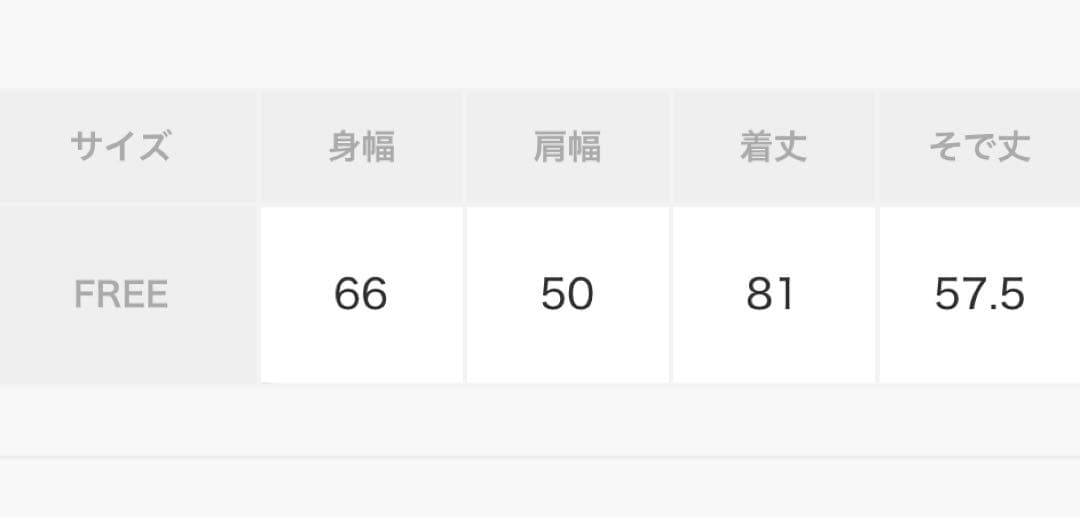 【新品未使用】プラージュウォッシャーロングシャツ