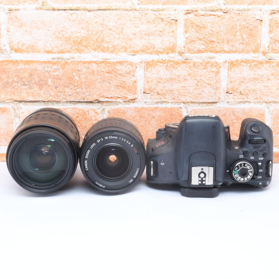 超望遠レンズ✨Canon Kiss X9i✨超高画質&軽量✨初心者おすすめ