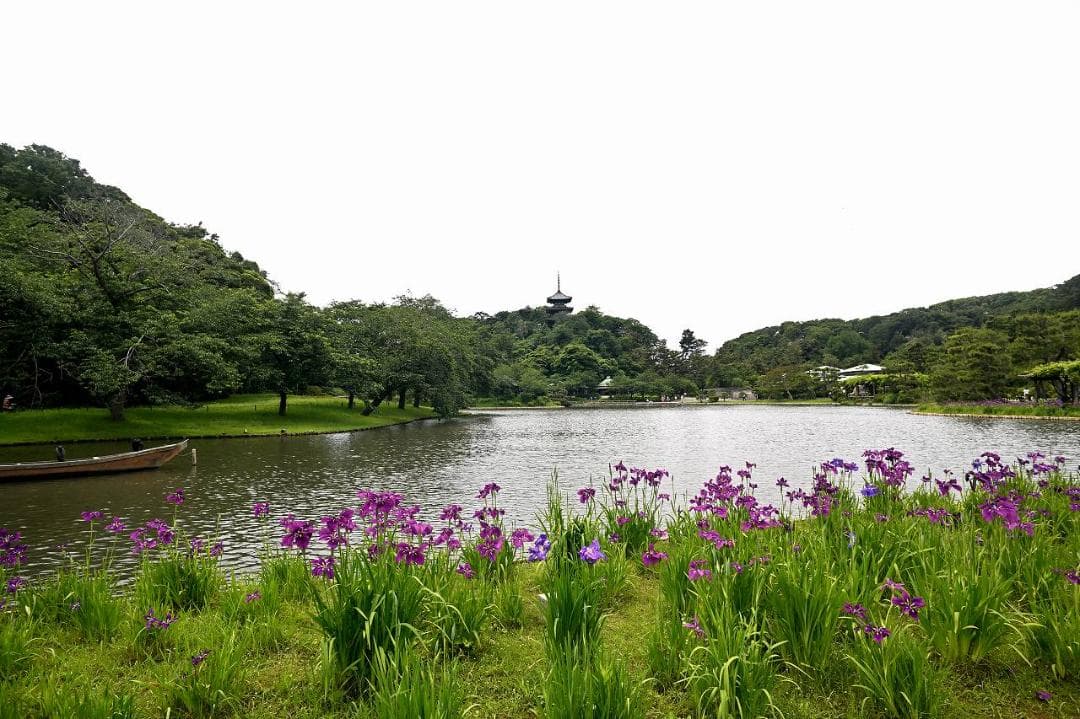 Nikon AF NIKKOR 20mm f/2.8Sレンズ （週末再値下げ）