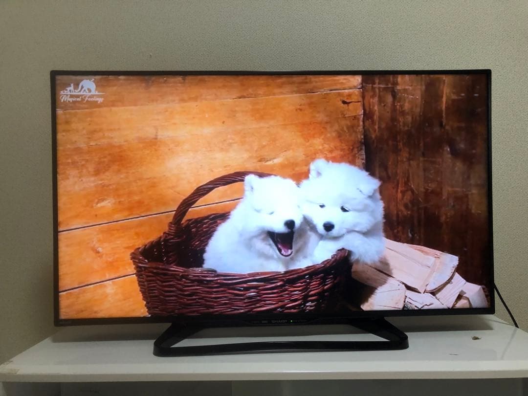 シャープ 40V型液晶テレビ AQUOS LC-40W35 2017年製