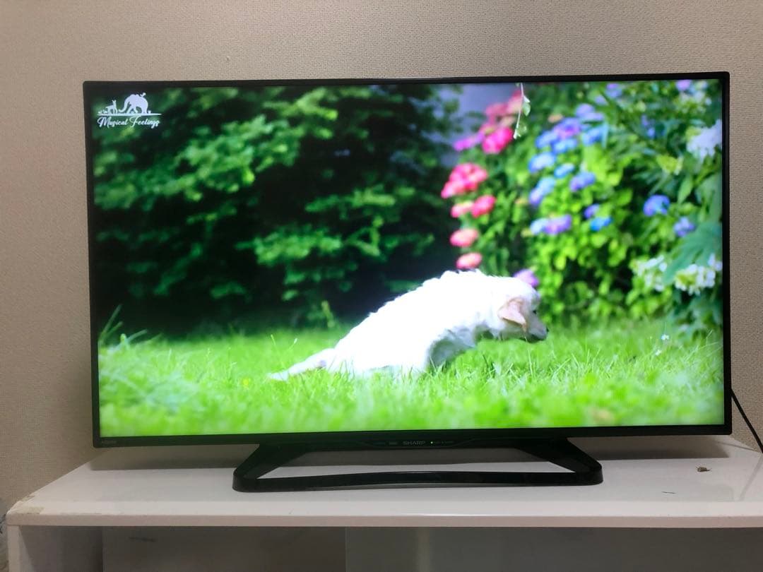 シャープ 40V型液晶テレビ AQUOS LC-40W35 2017年製