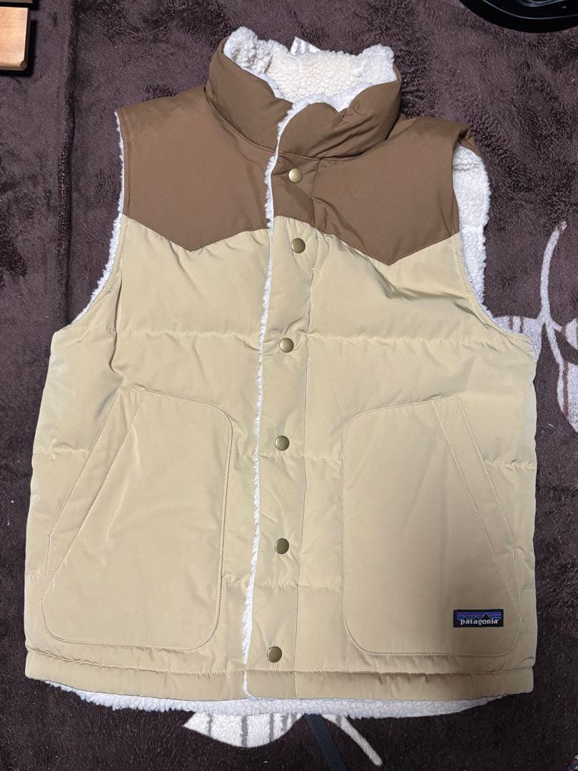 希少 patagonia パタゴニア メンズ リバーシブル ダウンベスト 美品