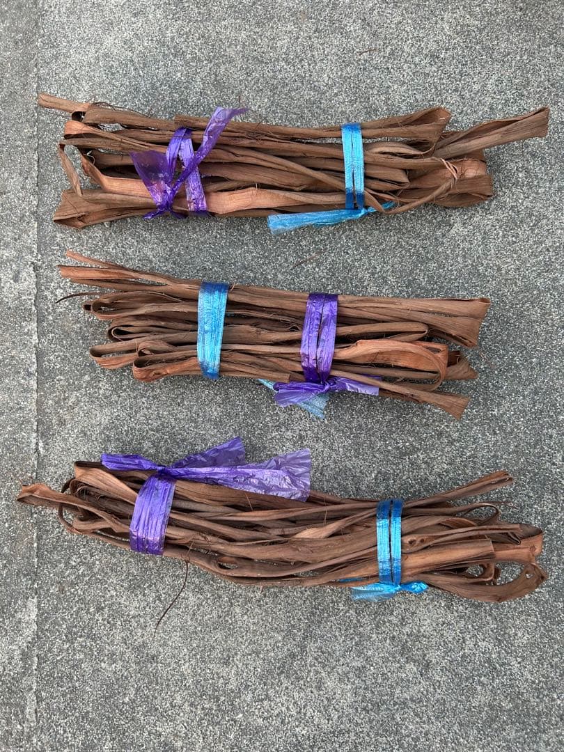 山葡萄蔓　宮城県産2025年