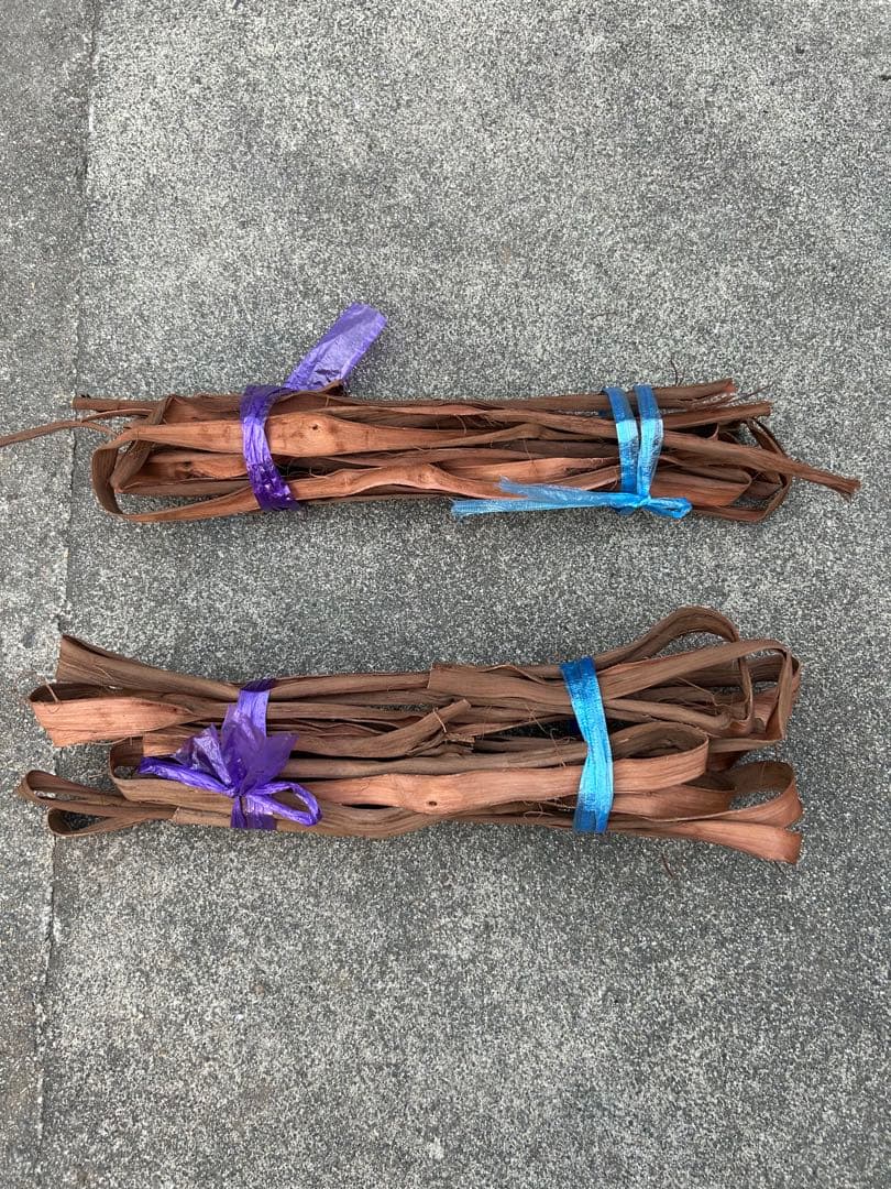 山葡萄蔓　宮城県産2025年