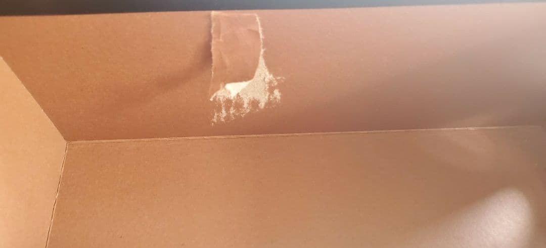 【新品】COACH CHELSEA フラットシューズ US5.5 JPN22.5