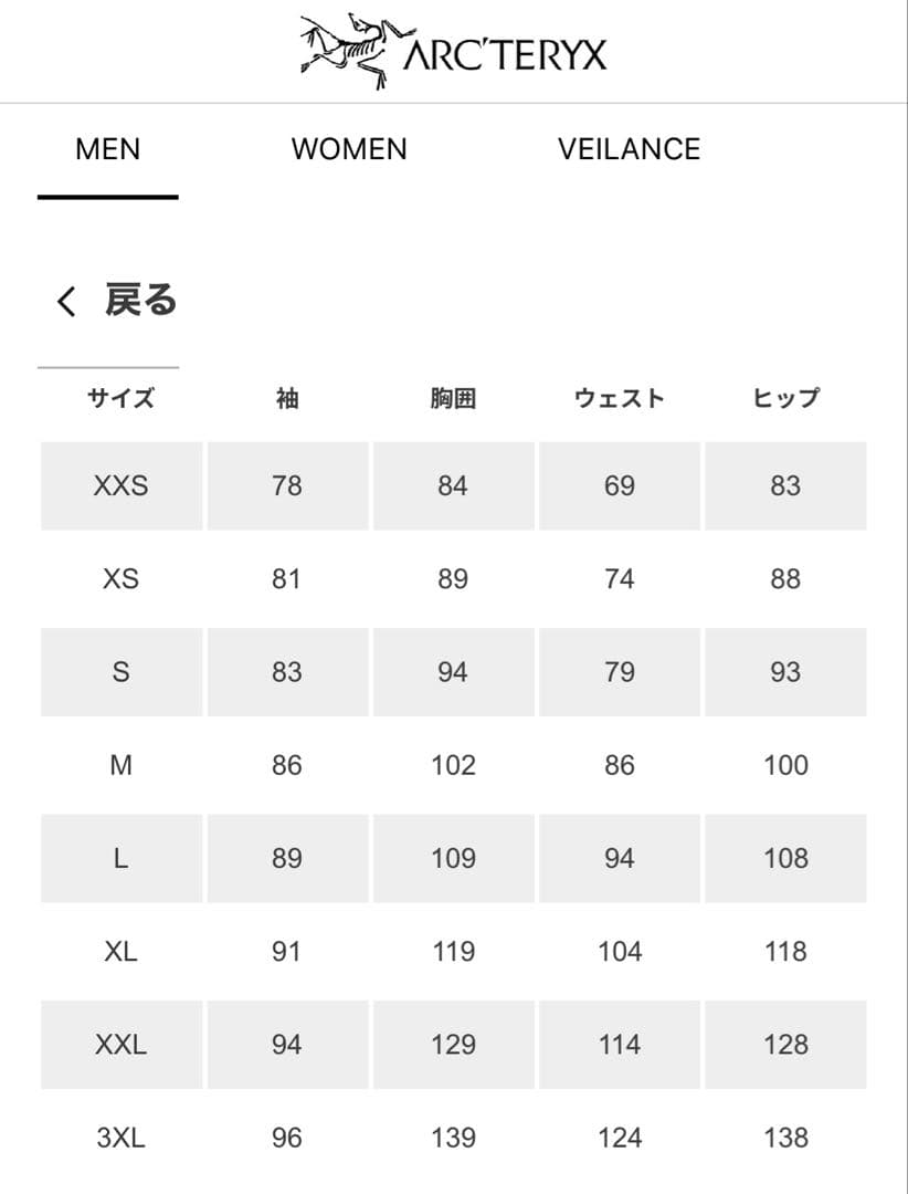 ⭐︎こみやん⭐︎ARC'TERYX アークテリクス アトムLT Hoody