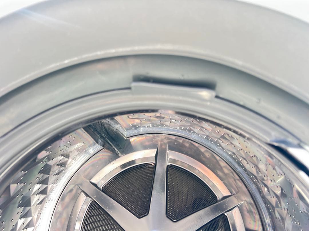 Panasonicドラム式電気洗濯機NA-VG1100R 2016年