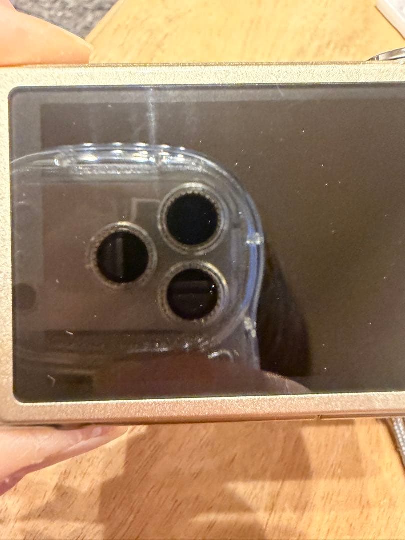 Panasonic FX40 ゴールド 12メガピクセル