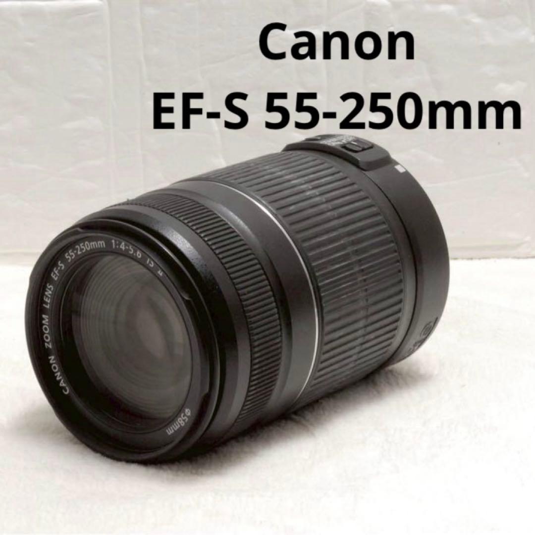 ❤️キャノン❤️超望遠レンズ❤️Canon EF55-250㎜❤️夏のお出かけ