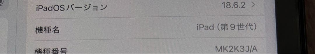 iPad 第9世代 本体 lightningケーブル