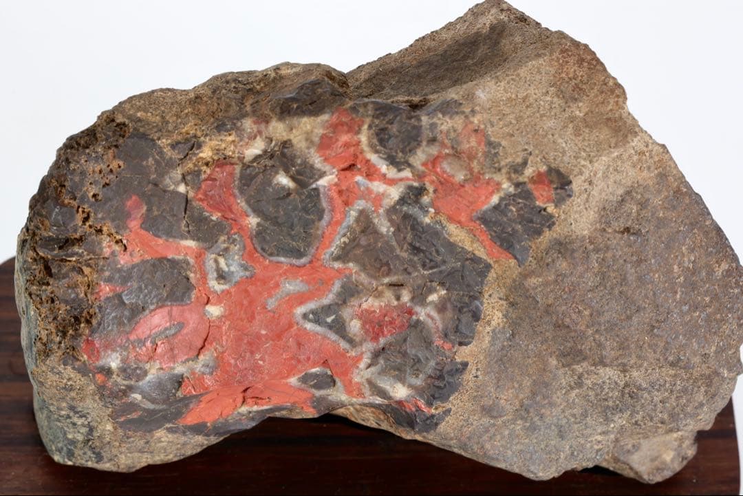 G*o様 菊花石 紋石 台座付 1167g 原石 鑑賞石 天然石 水石 黒曜石