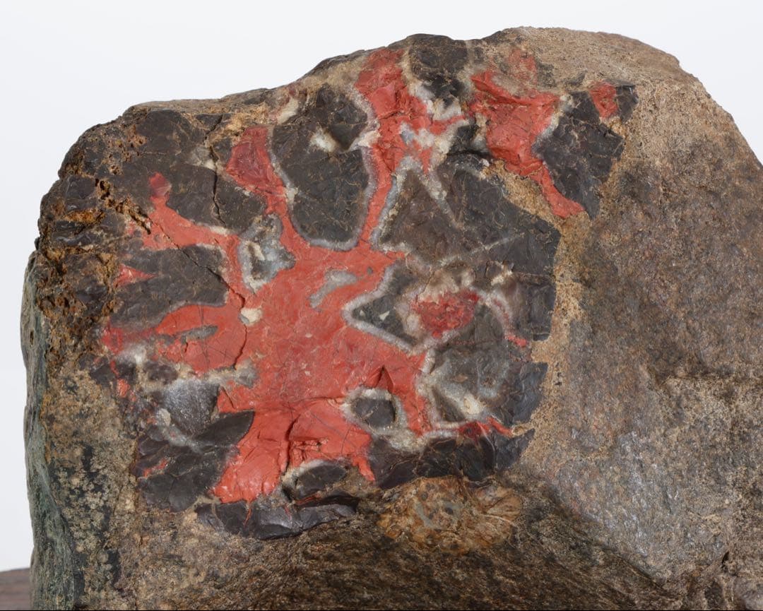 G*o様 菊花石 紋石 台座付 1167g 原石 鑑賞石 天然石 水石 黒曜石