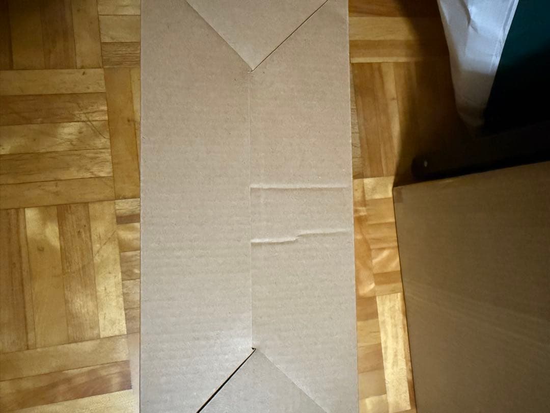 いきもの大図鑑プレミアム パンサーカメレオン グリーン レッド 2体セット