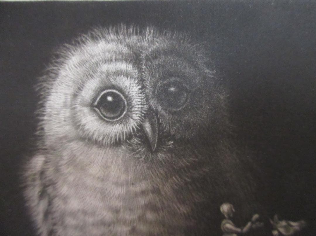 生田宏司　銅版画