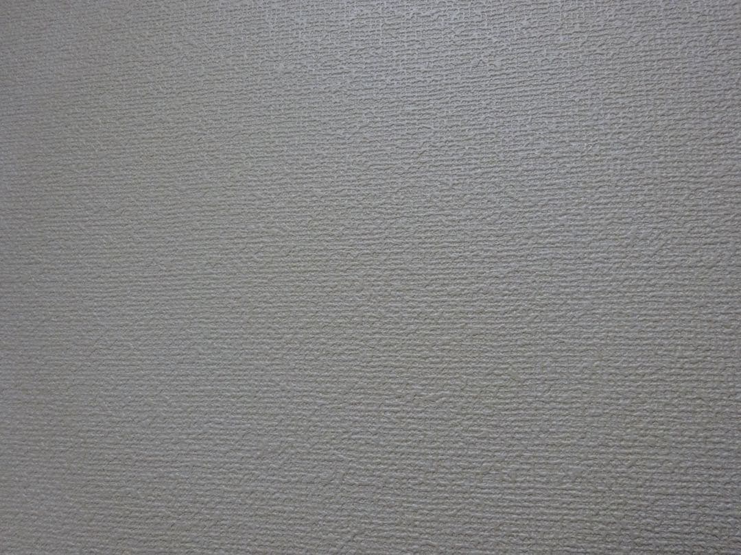 【美品】ソニー デジタルカメラ DSC-WX350 ブラック