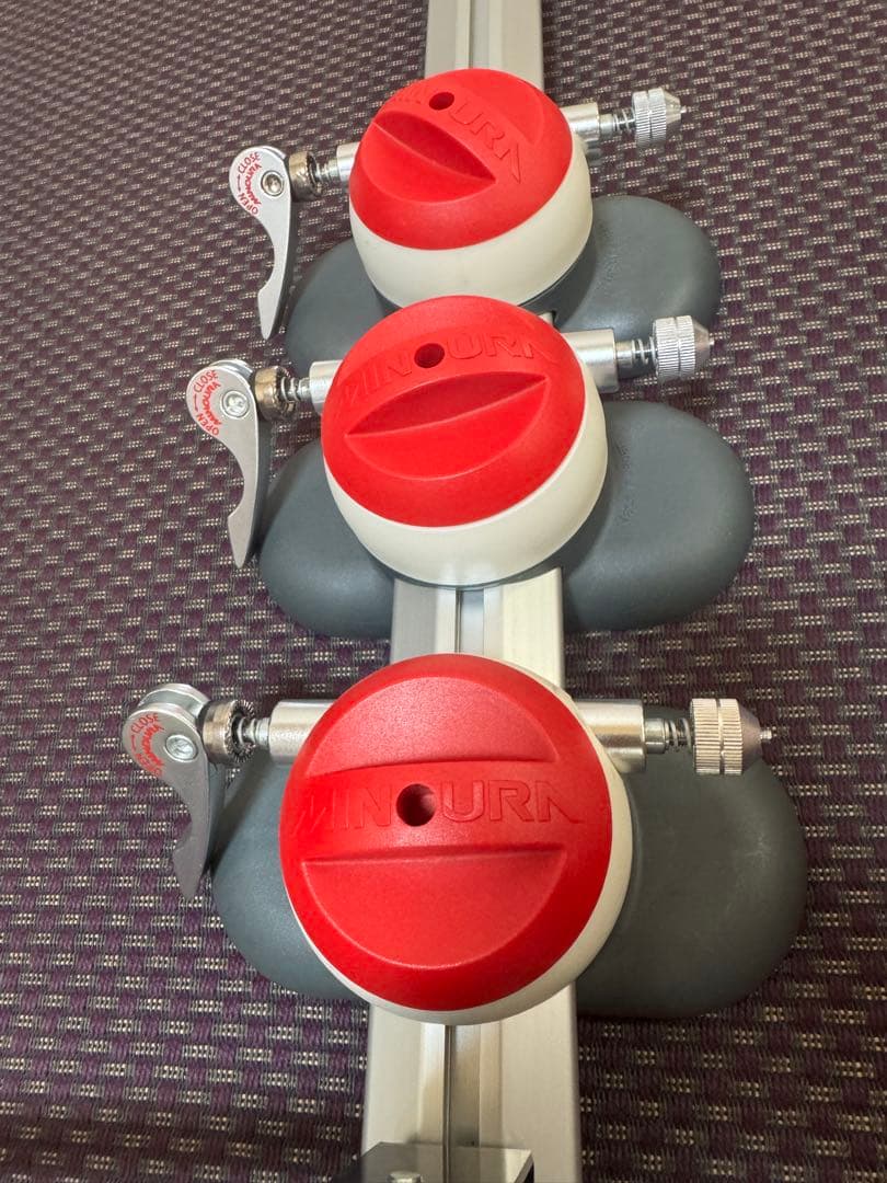 MINOURA ミノウラ カーキャリア VERGO TF-3 バーゴ (3台用)