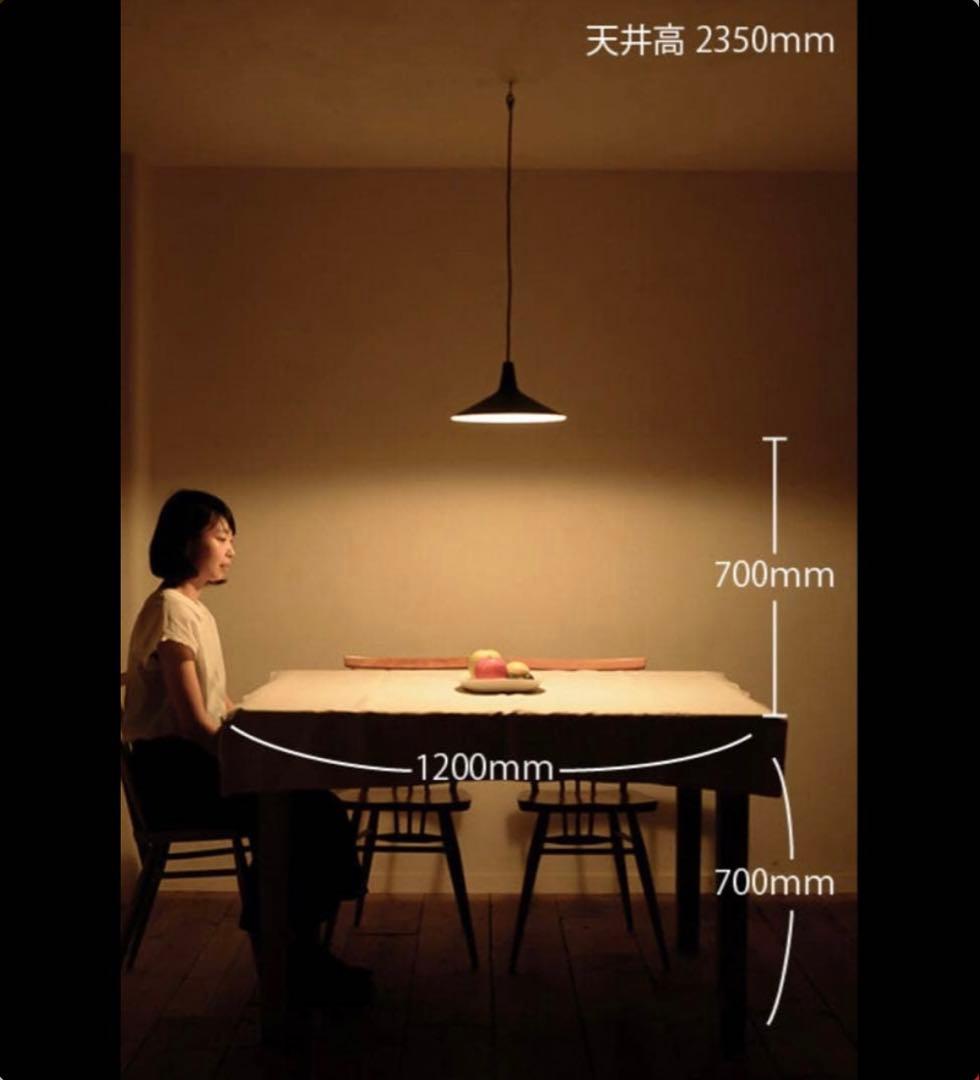 flame ペンダントライト flare black