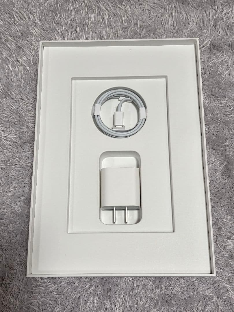 iPad (第9世代) 256GB Wi-Fi シルバー おまけ付き