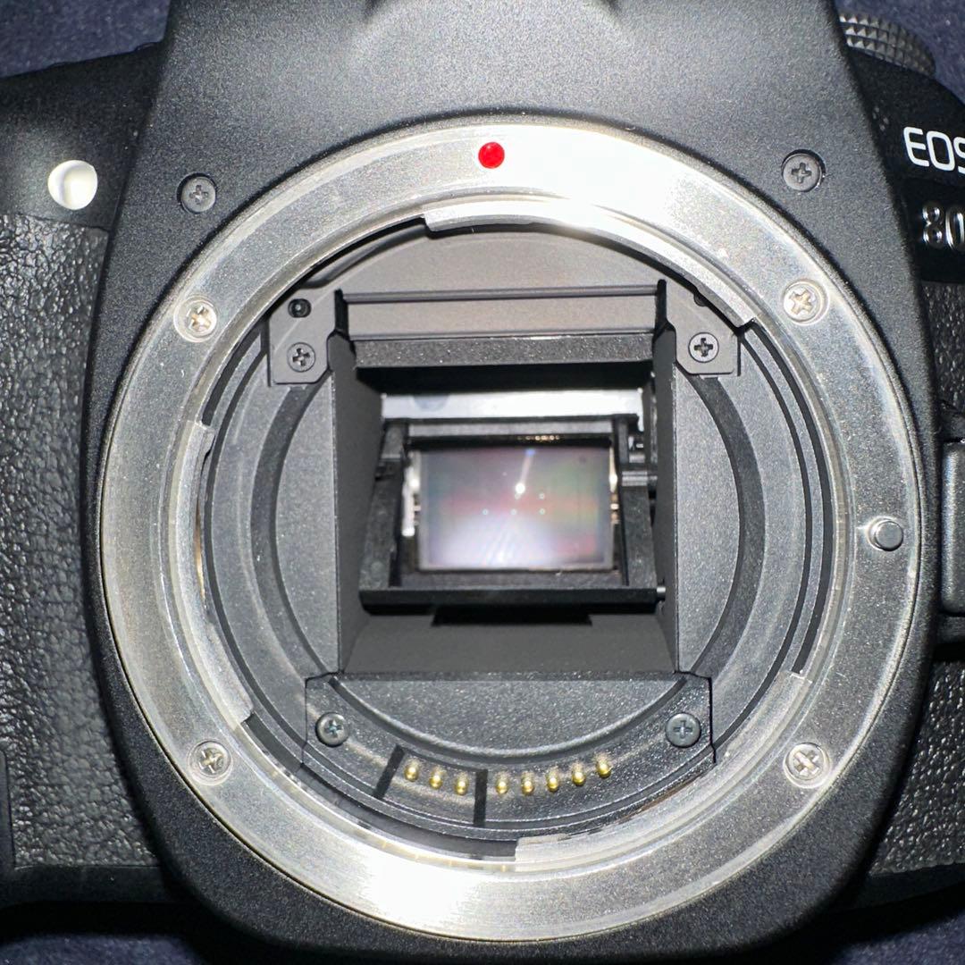 Canon EOS 80D デジタル一眼レフ※おまけ付き
