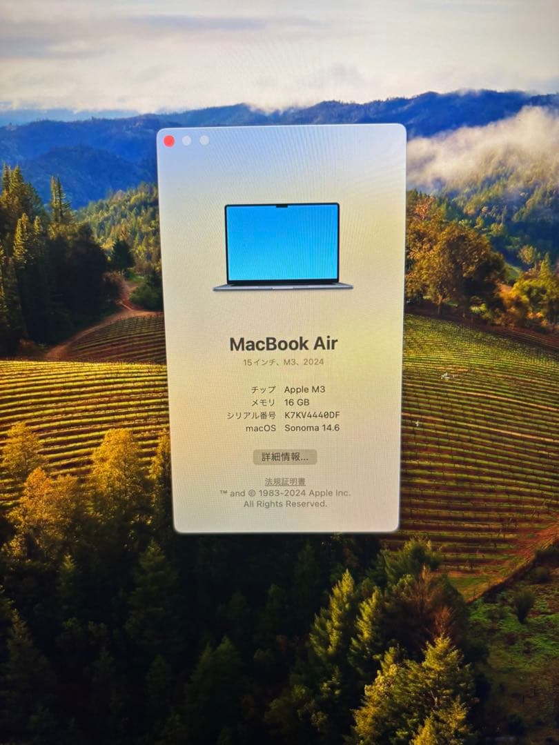 Apple MacBook Air M3スペースグレー 本体　美品