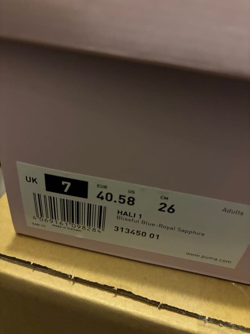 シューズ(男性用) PUMA Hali 1