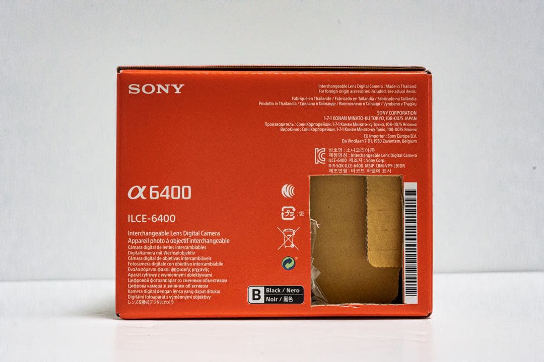 エア　SONY α6400 ボディ＋ バッテリーチャージャー