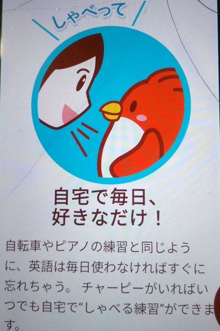 みんなのチャーピー先生　スタンダード　英会話ロボット　おうち英語　Wifi接続