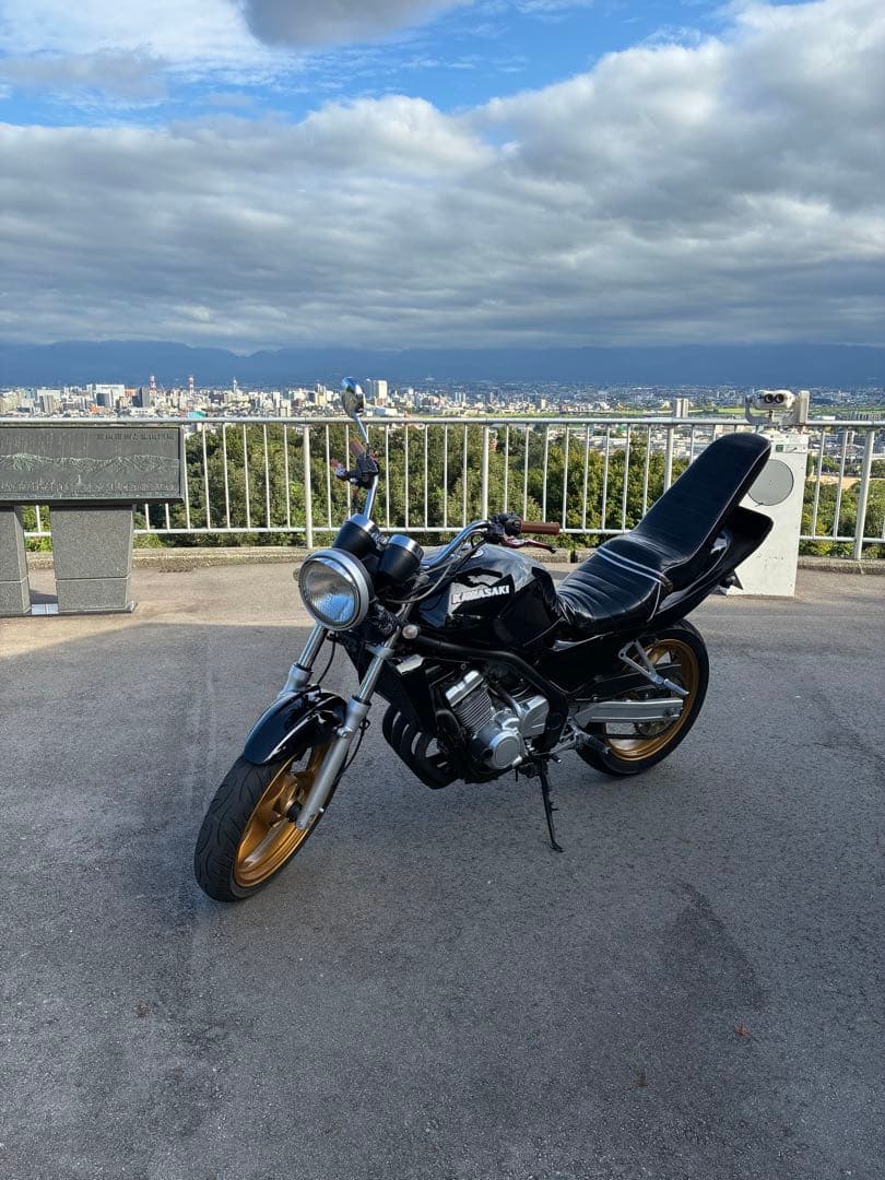 akanekoさん専用 バリオス 三段シート