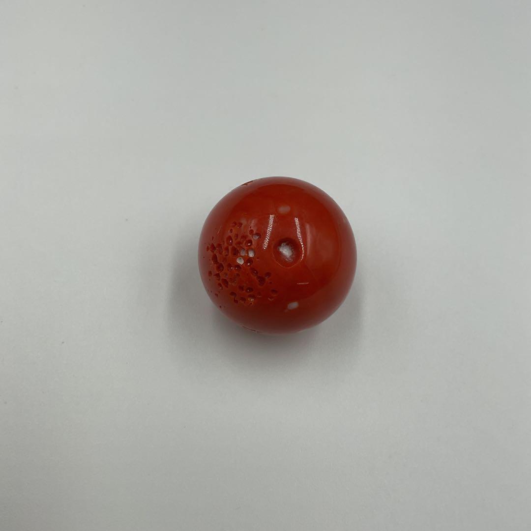 X18 珊瑚　サンゴ　穴空き　球体