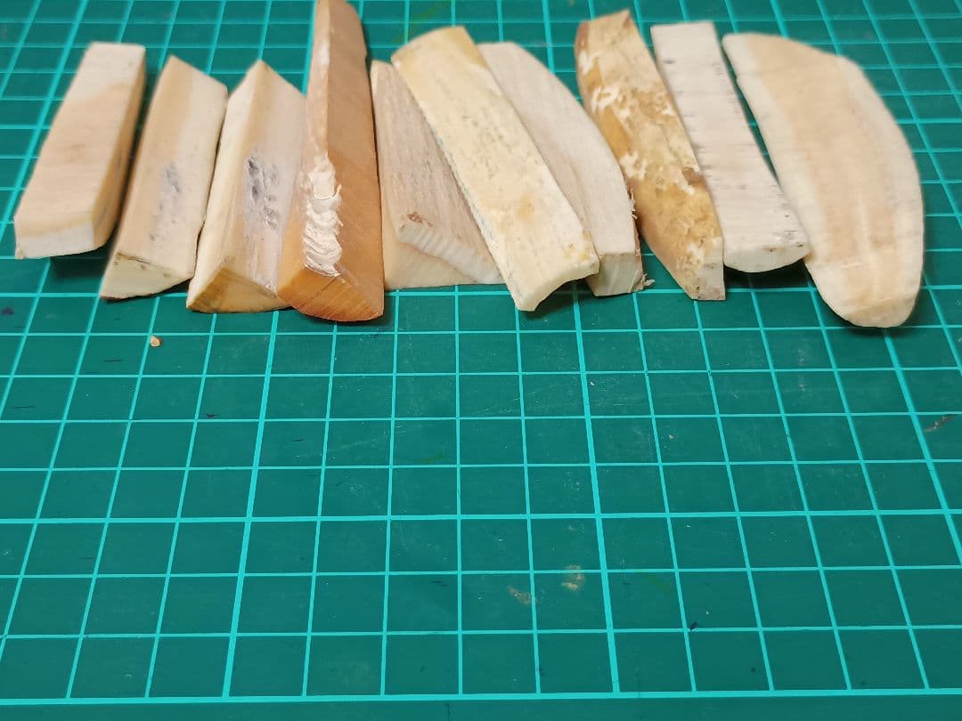 マッコウ鯨　牙　鯨歯　138g程度