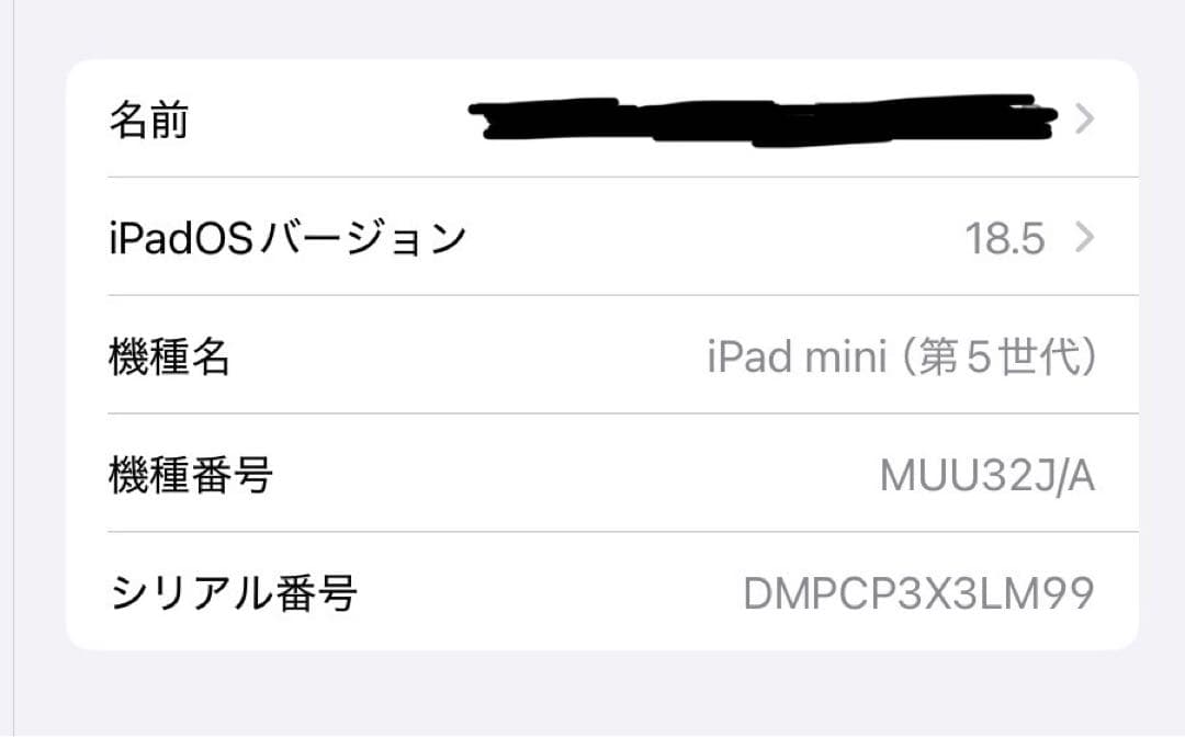 iPad mini5(第5世代)256GB+Apple pencil 第1世代