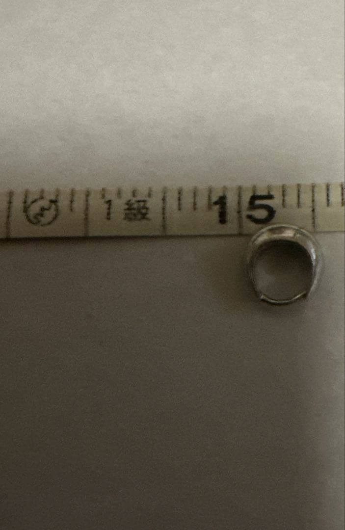 （片耳のみ）TOMWOOD Ice Huggie OS