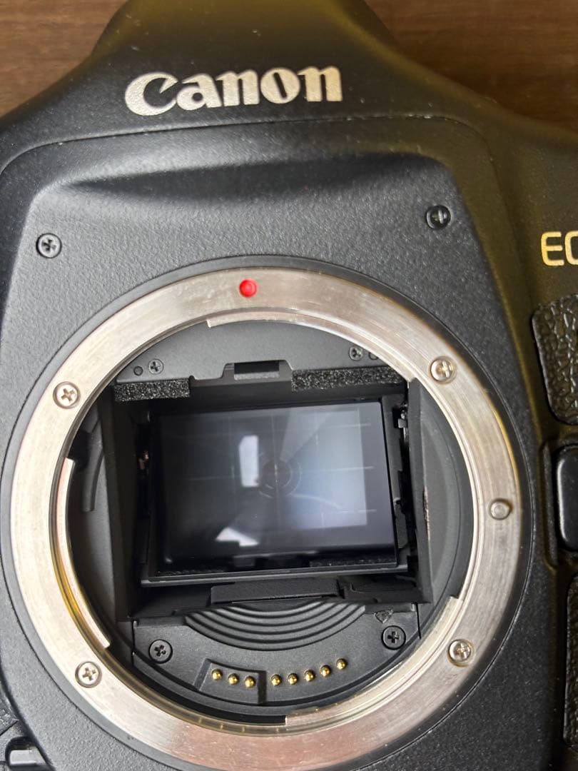 【極美品】Canon EOS 1D Mark II シャッター9000回