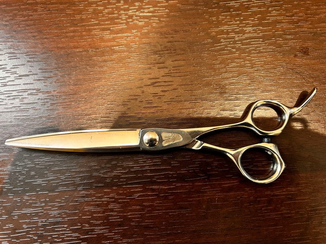 トギノン　マリンシャーク