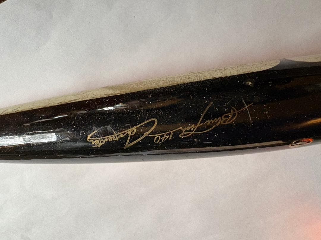 カーペンターブルーフィッシュ140