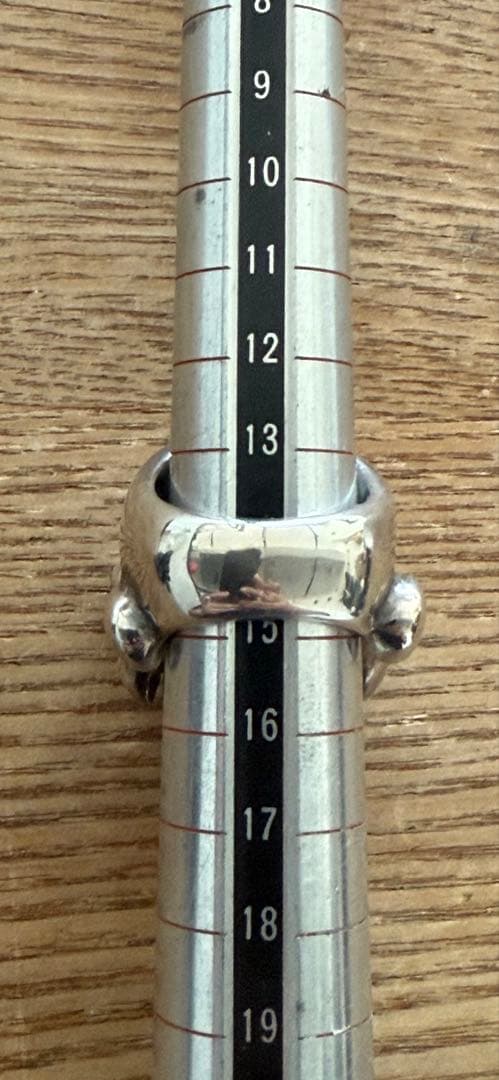 サーティーンデザインズ　ホラースカルリング　 Limited Edition