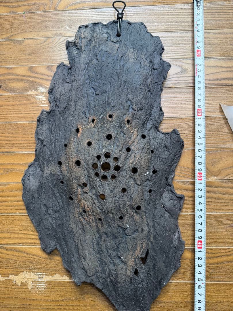 たかビカクシダ　着生板　AND.