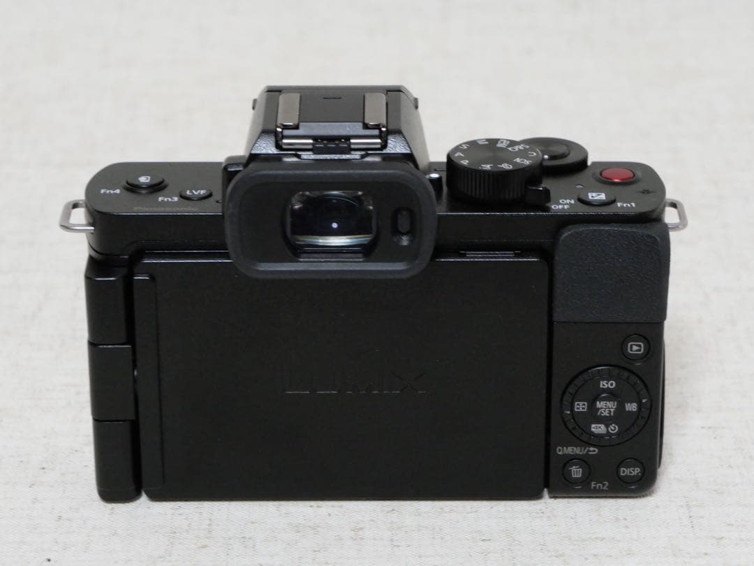 LUMIX パナソニック DC-G100 標準ズームレンズ・予備バッテリー付き