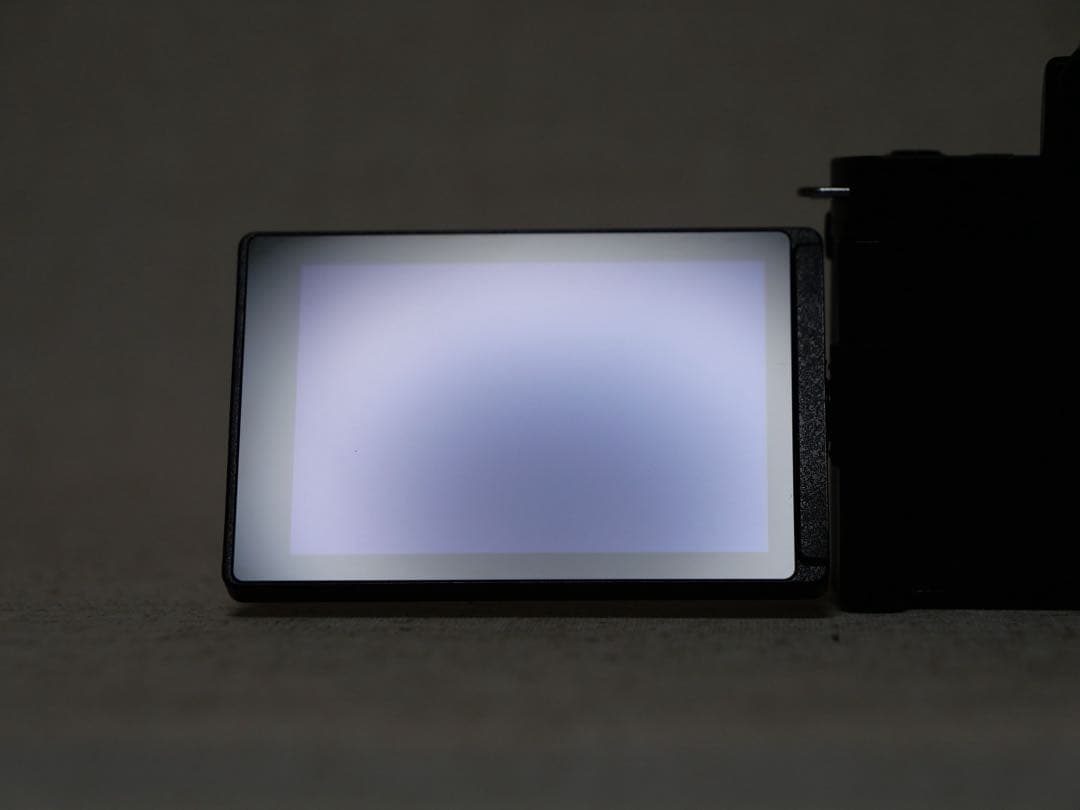 LUMIX パナソニック DC-G100 標準ズームレンズ・予備バッテリー付き