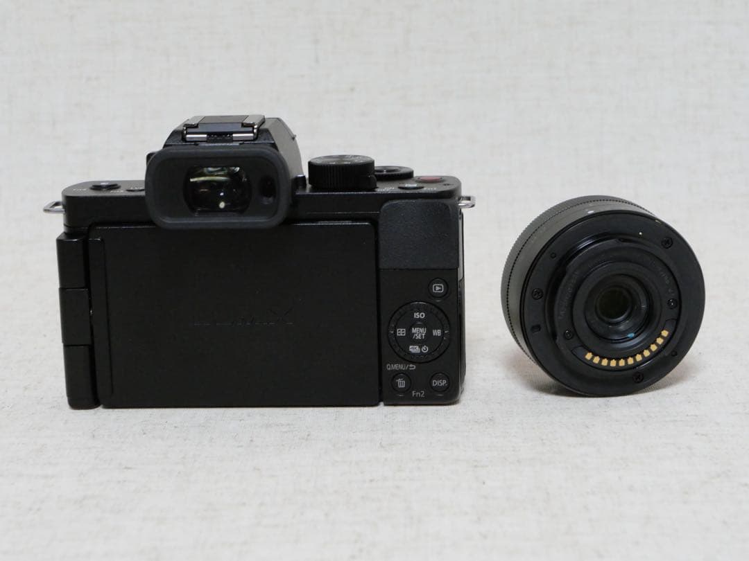 LUMIX パナソニック DC-G100 標準ズームレンズ・予備バッテリー付き